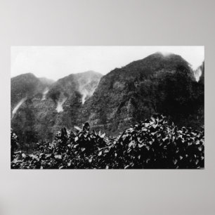 Poster Vallée de Nuuanu, Hawaï - vue d'automne à l'envers