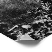 Poster Vallée de Nuuanu, Hawaii - Vue de l'automne en hau (Coin)