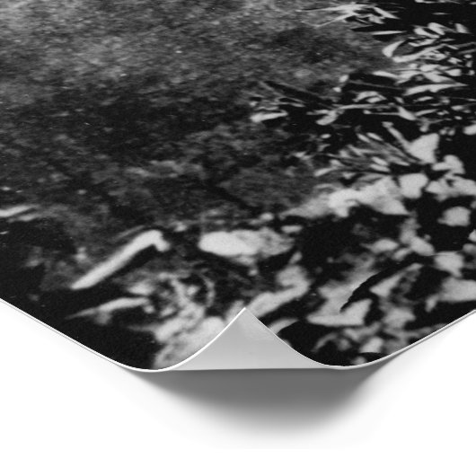 Poster Vallée de Nuuanu, Hawaii - Vue de l'automne en hau (Coin)