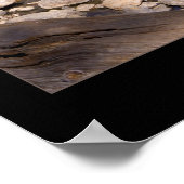 Poster Vallée de Yosemite (Coin)