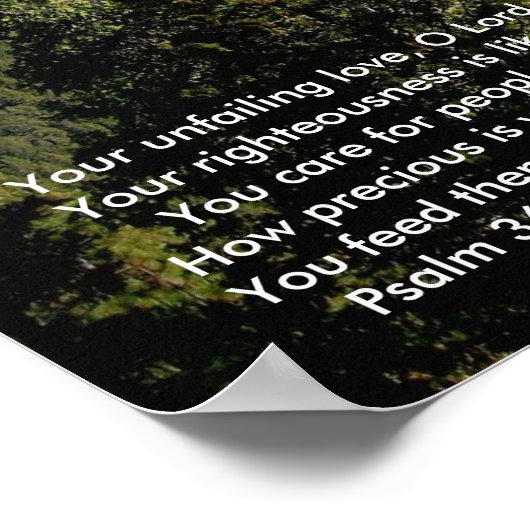 Poster Vallée de Yosemite (Coin)