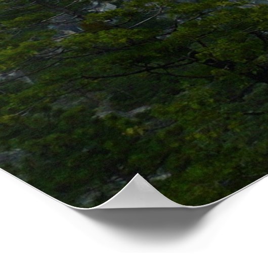 Poster Vallée de Yosemite dans le parc national de Yosemi (Coin)