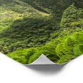 Poster Vallée d'Iao (Coin)