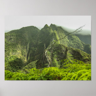 Poster Vallée d'Iao