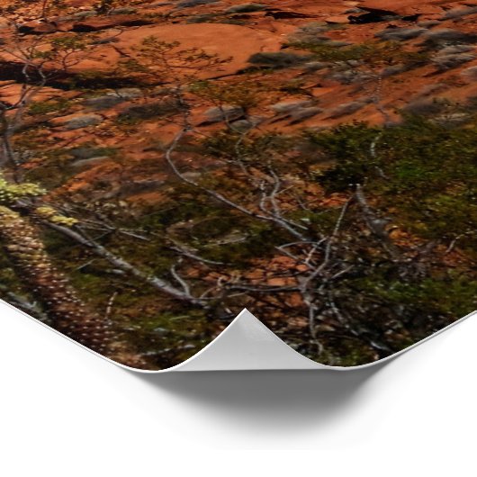 Poster Vallée du feu (Coin)