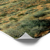 Poster Vallée du feu (Coin)