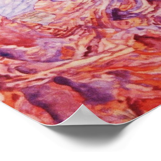 POSTER VALLÉE DU FEU, LAS VEGAS (Coin)