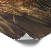 Poster Vallée éternelle (Coin)