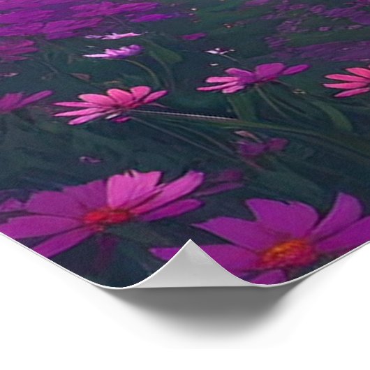 Poster Vallée rose (Coin)