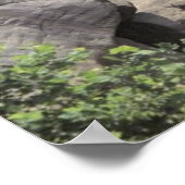 Poster Valley Falls (Coin)