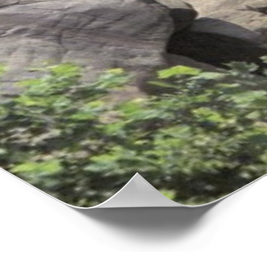 Poster Valley Falls (Coin)