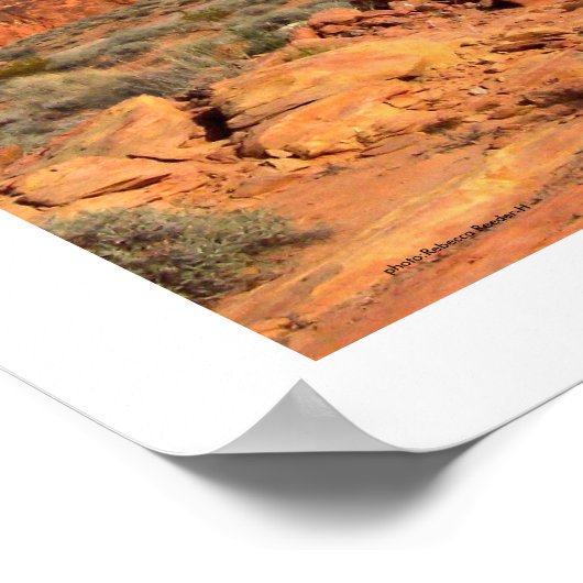 Poster Valley of Fire, Nevada (Coin)