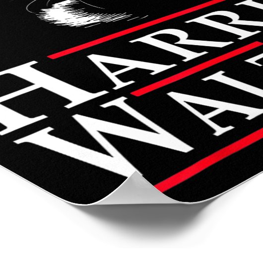 Poster Valse 2024 Chat Drôle Vote Pour Kamala Harris Tim  (Coin)