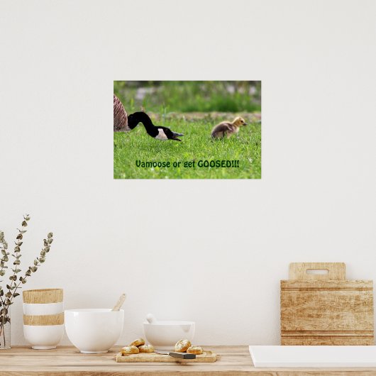 Poster Vamoose (Cuisine)