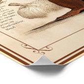 Poster Vampurr: Cat Vampire Creature (Coin)