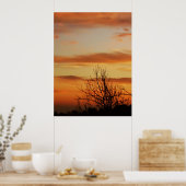 poster van abrikozenwolken (Keuken)