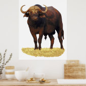 Poster van Afrikaanse waterbuffels 32 x 40 inch (Keuken)