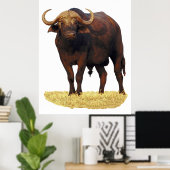 Poster van Afrikaanse waterbuffels 32 x 40 inch (Thuiskantoor)