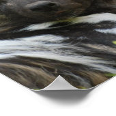 Poster van Afrikaanse Wild Dog (Hoek)