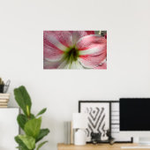 Poster van Amaryllis (Thuiskantoor)