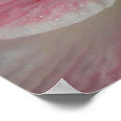 Poster van Amaryllis (Hoek)