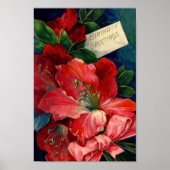 Poster van Amaryllis (Voorkant)