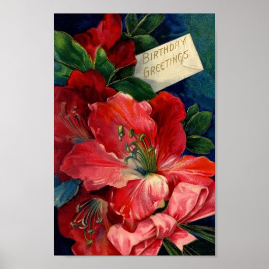 Poster van Amaryllis (Voorkant)