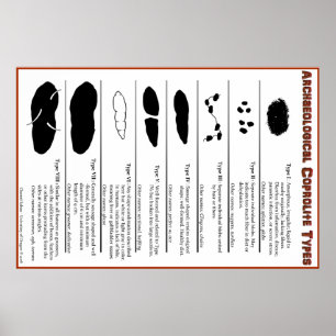 Poster van archeologische coproliet