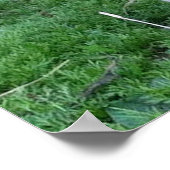 Poster van baby (Hoek)