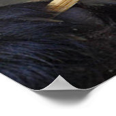 Poster van bamboeboom (Hoek)