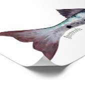 Poster van Barracuda (Hoek)