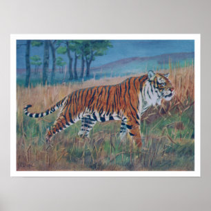 Poster van Bengal Tiger