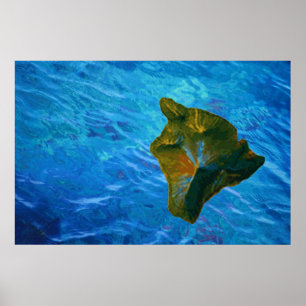 Poster van Big Island en Blue Waters Print