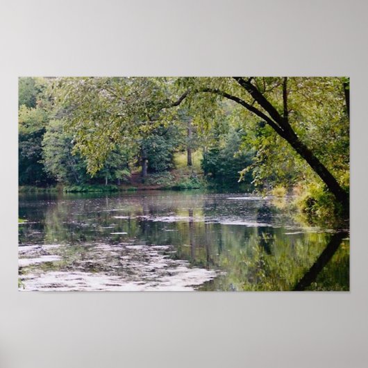 poster van biltmore (Voorkant)