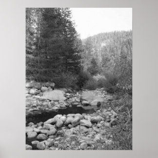 Poster van Black and White Forest Creek