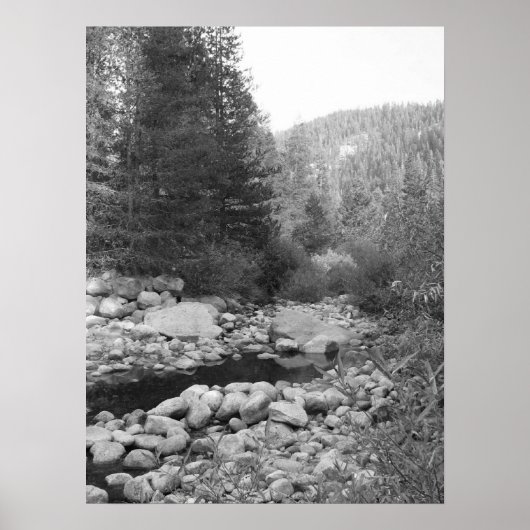 Poster van Black and White Forest Creek (Voorkant)