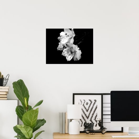 Poster van Black en White Alstroemeria Lily (Thuiskantoor)