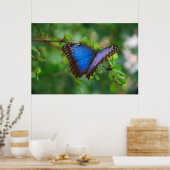Poster van Blauwe Vlinder (Keuken)
