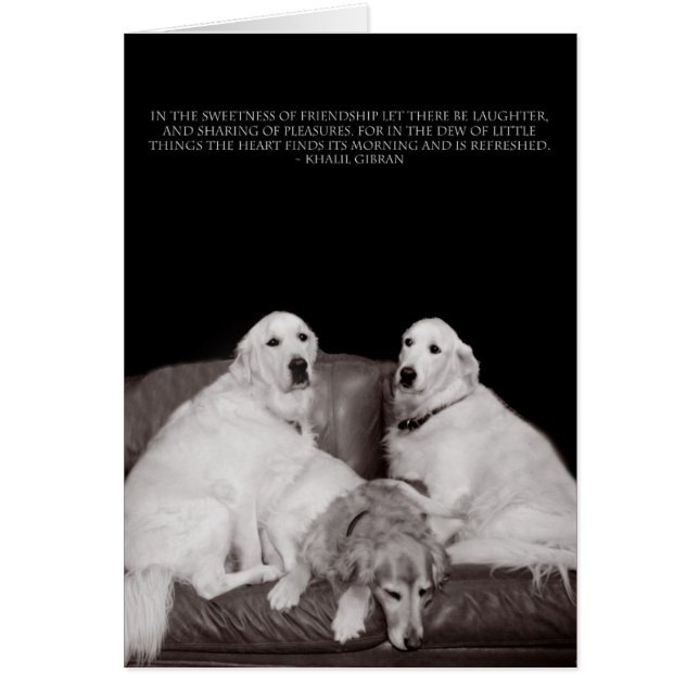 Poster van Bookends Gibran (Voorkant)