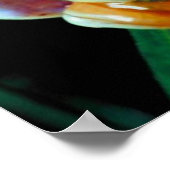 Poster van boomkikker (Hoek)