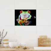 Poster van boomkikker (Keuken)