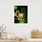 Poster van boomkikker (Keuken)