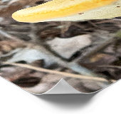 Poster van boompaddestoelen (Hoek)