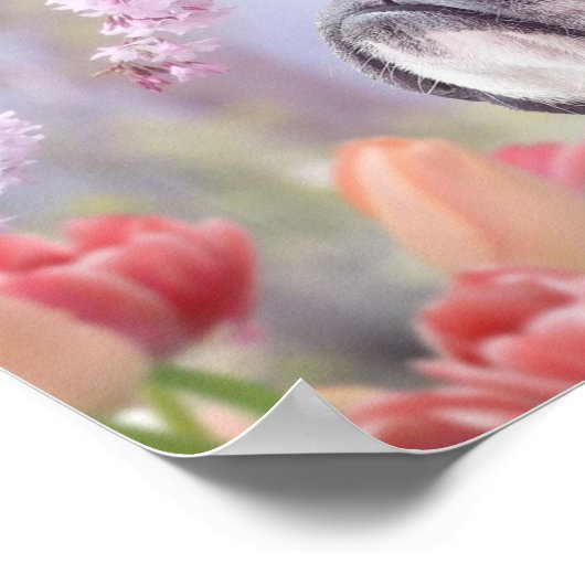 Poster van Boston Terrier (Hoek)