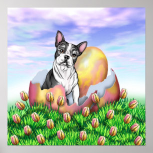 Poster van Boston Terrier Easter Surprise
