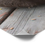 Poster van Brown Guinea Pig (Hoek)