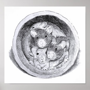 Poster van buisratten