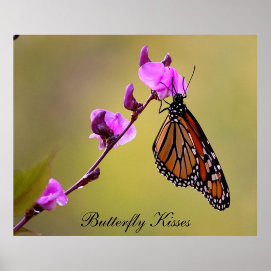 Poster van Butterfly Kisses (Voorkant)