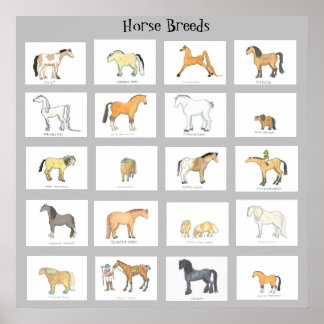 Poster van Cartoon van paarden