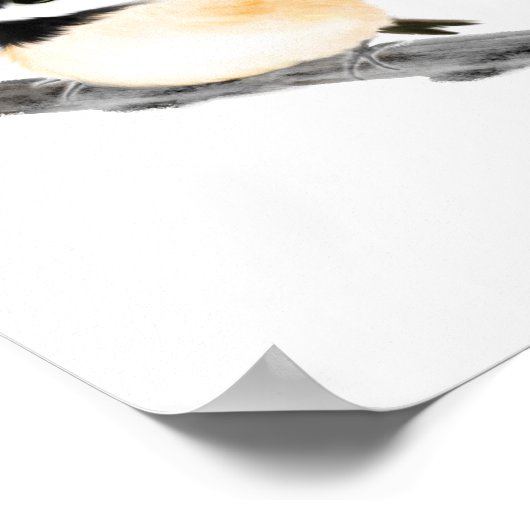 Poster van Chickadee Bird Print (Hoek)